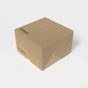 caixa hamburguer 120x120x80mm